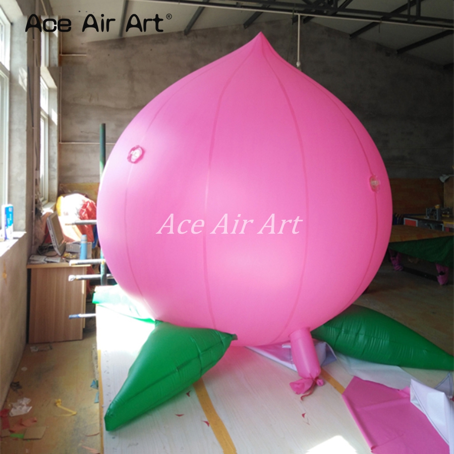 Advertising Giant Inflatable F - Agriculture Farming School 评论和价格