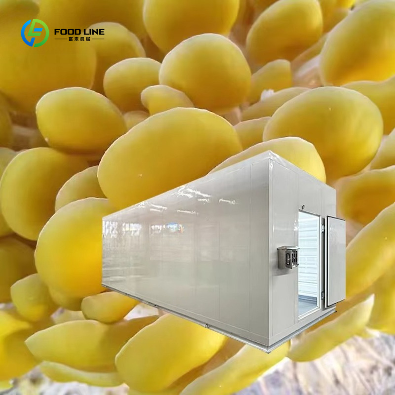 Smart Mushroom Growing Capsule - Agriculture Farming Technology 评论和价格