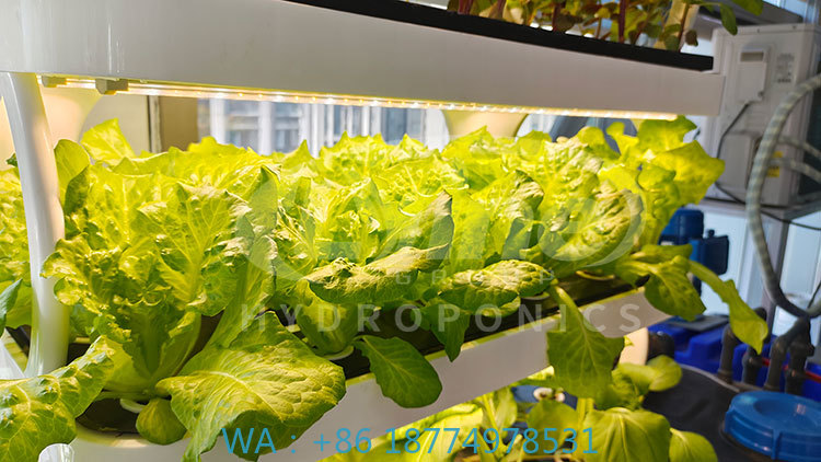 c Agriculture Machine to Growi - Agriculture Farming Systems 评论和价格