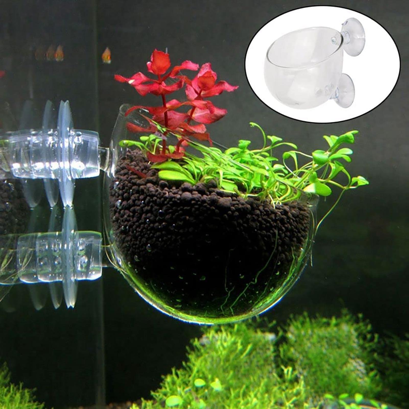 Aquatic Plant Pot Clear Acryli - Plant Growth Regulator 评论和价格
