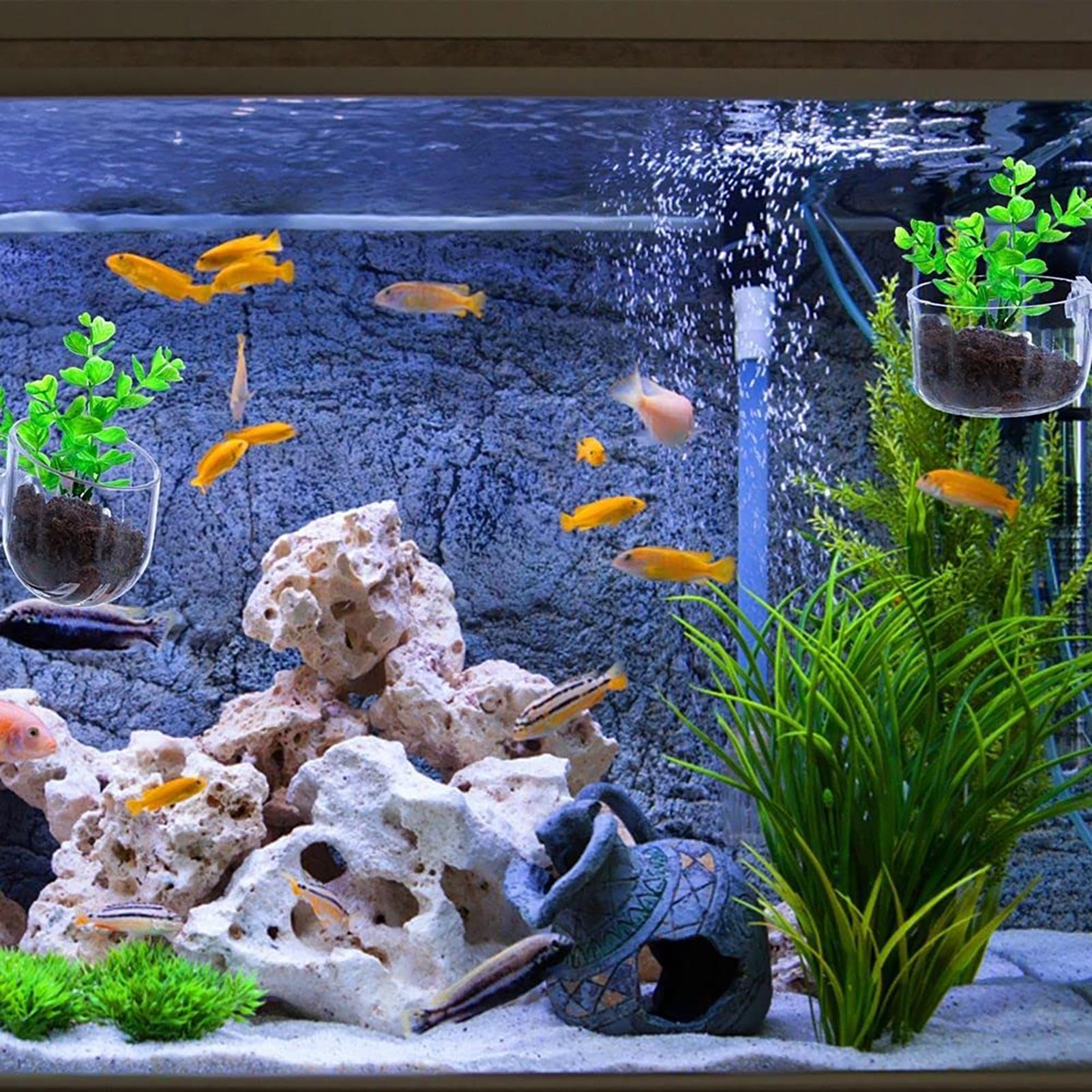Aquatic Plant Pot Clear Acryli - Plant Growth Regulator 评论和价格