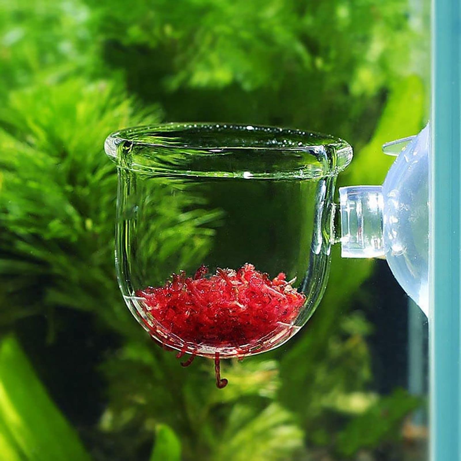 Aquatic Plant Pot Clear Acryli - Plant Growth Regulator 评论和价格