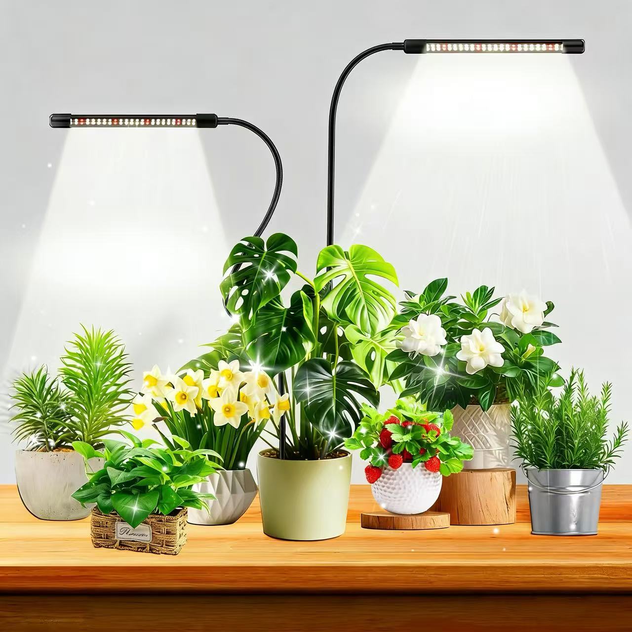 48LEDs Grow Lights for Indoor  - Plant Growth Regulator 评论和价格
