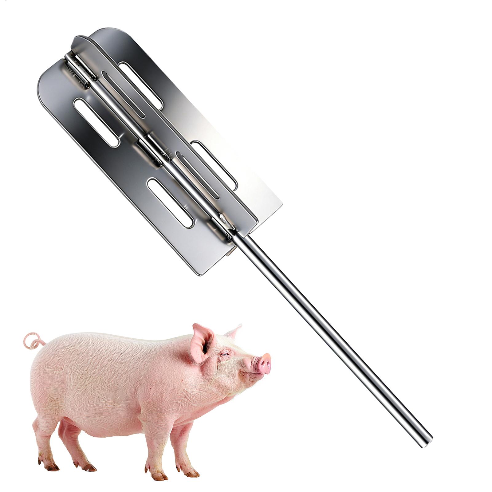 Hog Hair Removal Tool Stainles - Farming Equipment For Agriculture 评论和价格