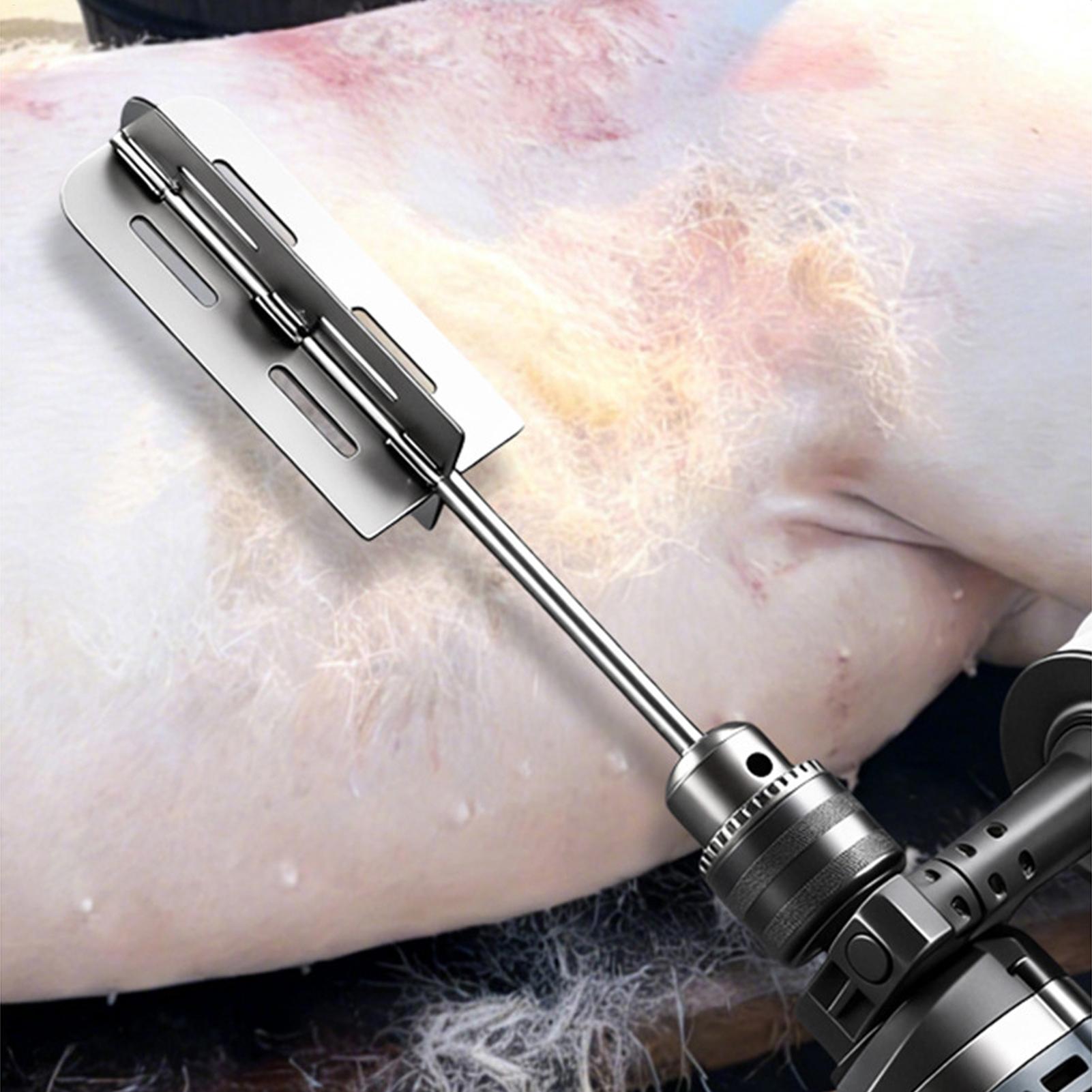 Hog Hair Removal Tool Stainles - Farming Equipment For Agriculture 评论和价格