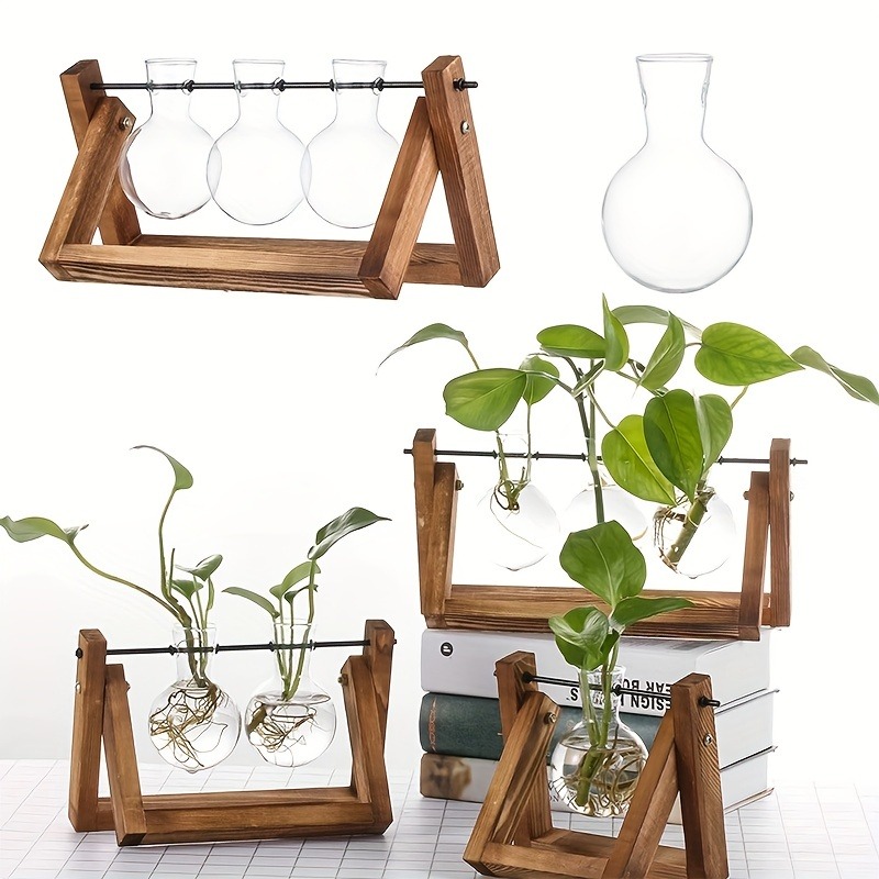 Tabletop Glass Planter Propaga - Plant Growth Regulator 评论和价格