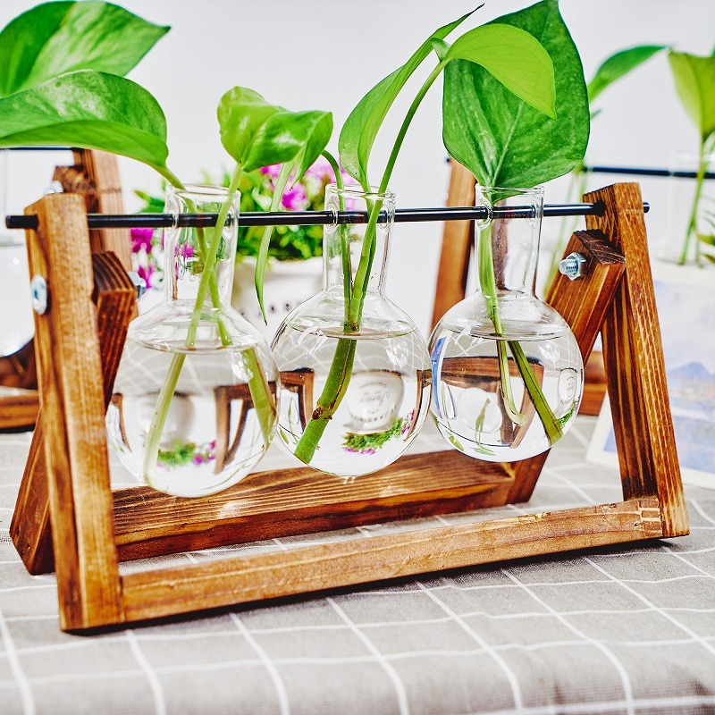 Tabletop Glass Planter Propaga - Plant Growth Regulator 评论和价格