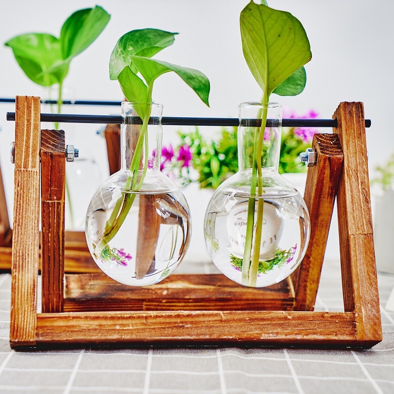 Tabletop Glass Planter Propaga - Plant Growth Regulator 评论和价格