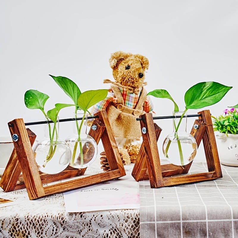 Tabletop Glass Planter Propaga - Plant Growth Regulator 评论和价格